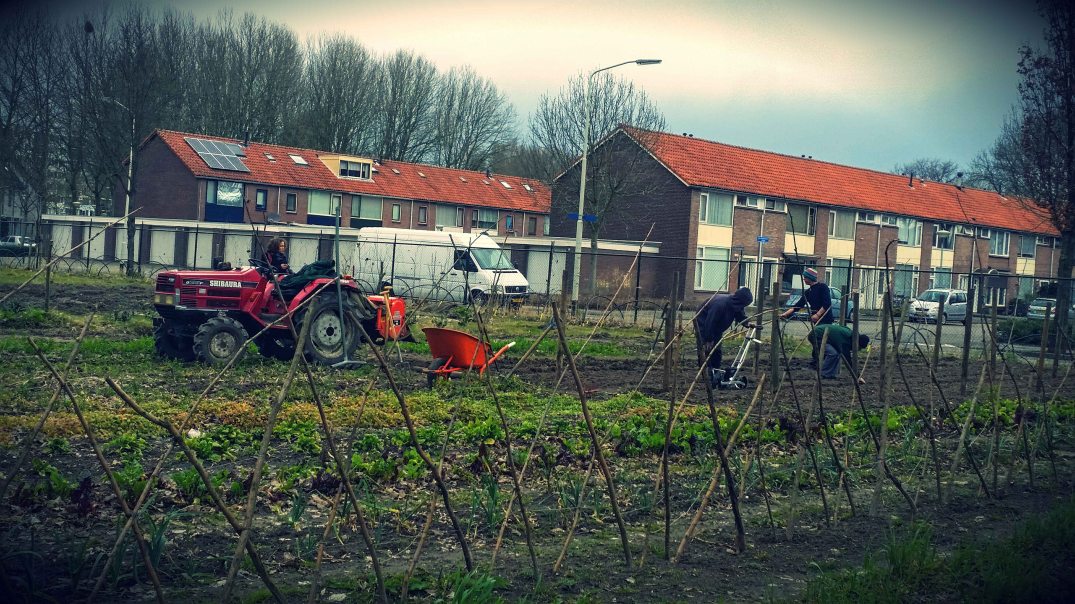 20160329_161500-blog