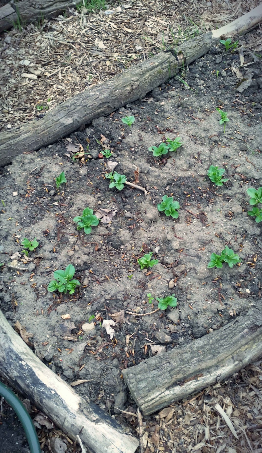 20160422_184523-blog