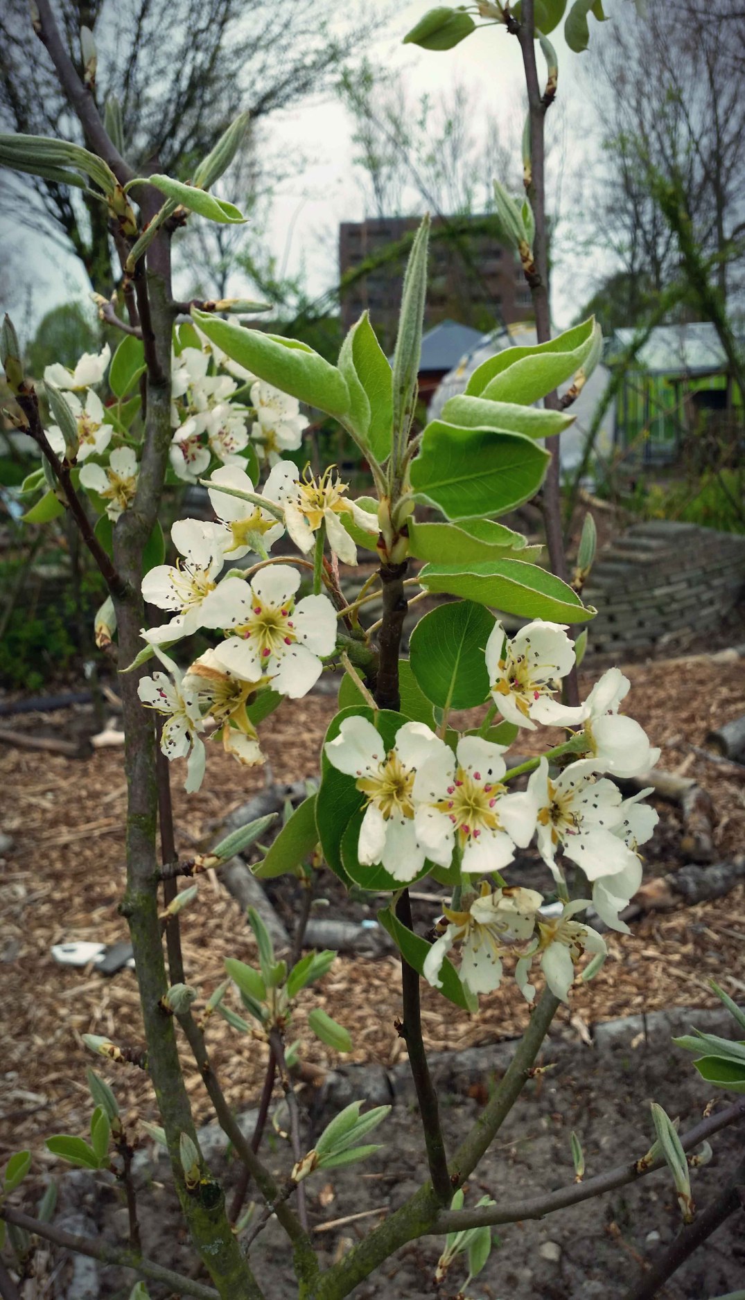 20160422_184700-blog