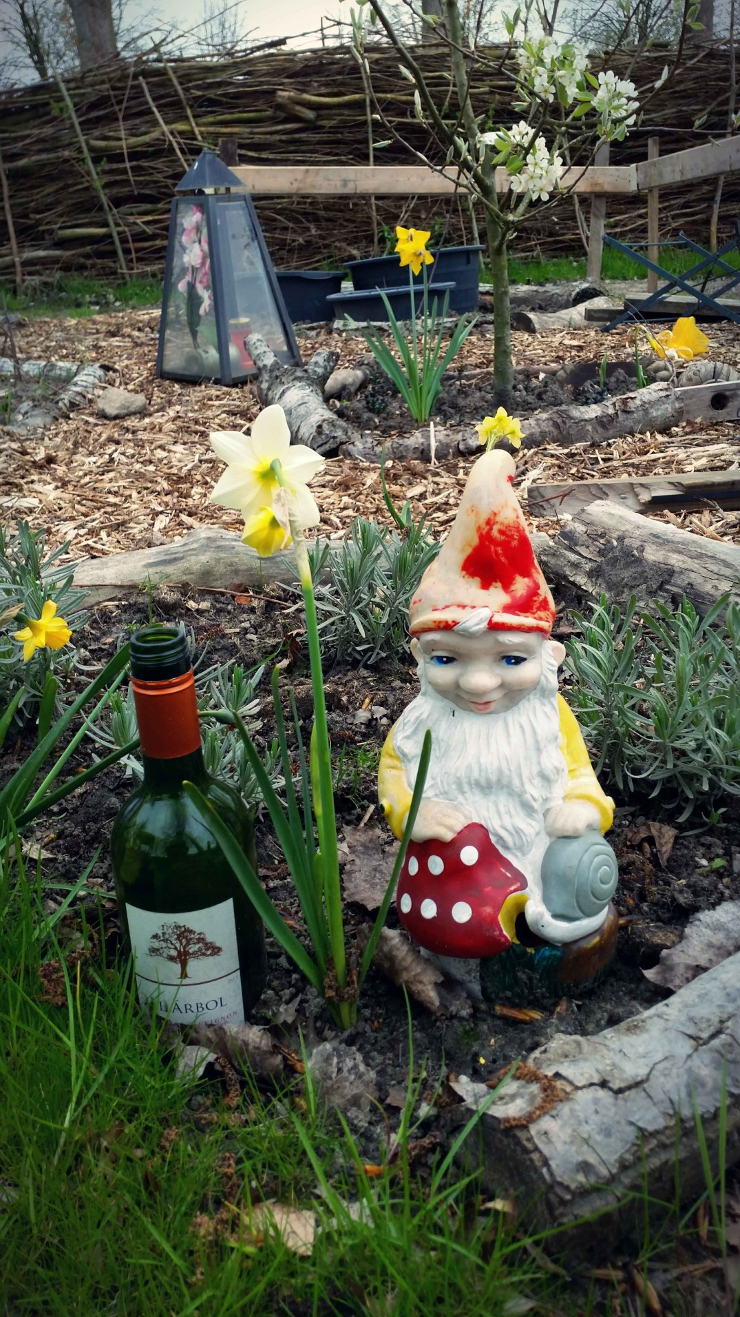 20160422_184734-blog