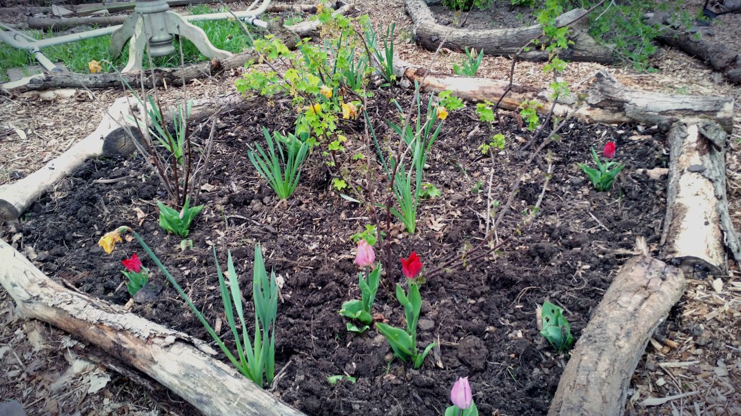 20160422_184758-blog