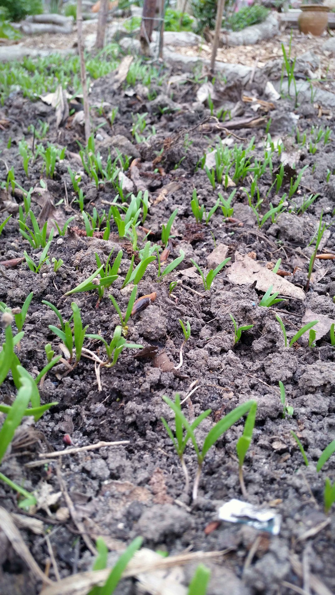 20160422_185016-blog