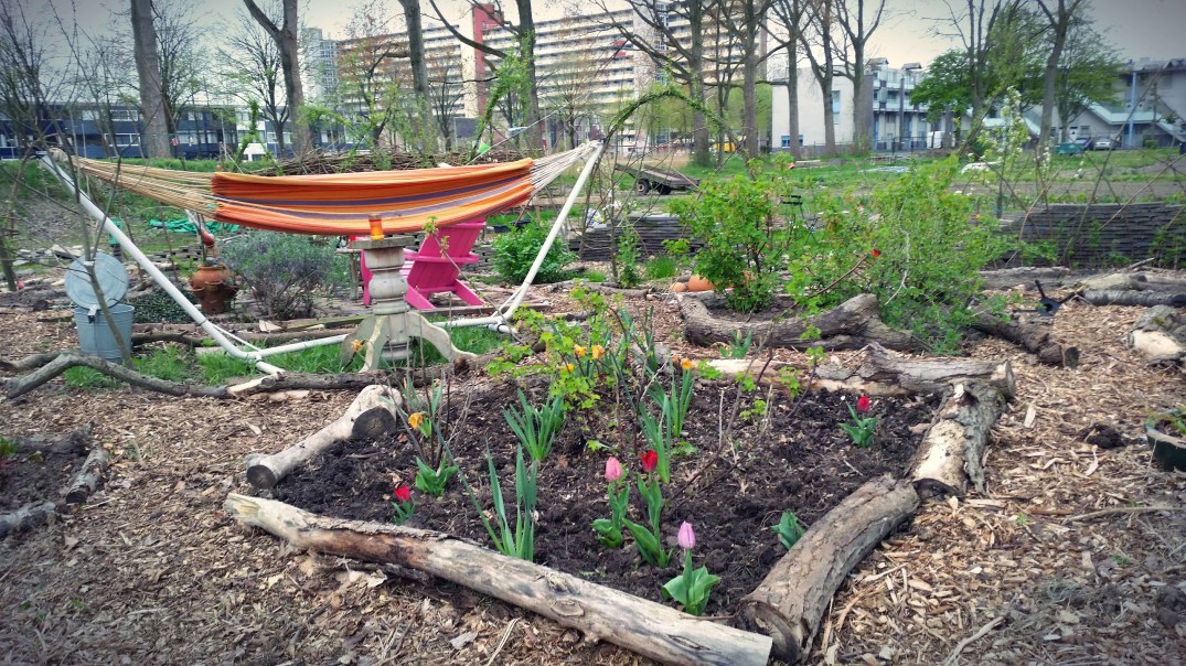 20160422_185510-blog