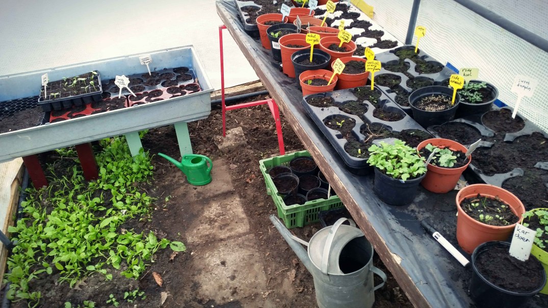 20160422_185744_20160422205753201-blog