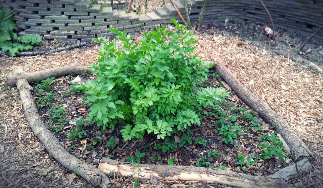 20160422_190232-blog