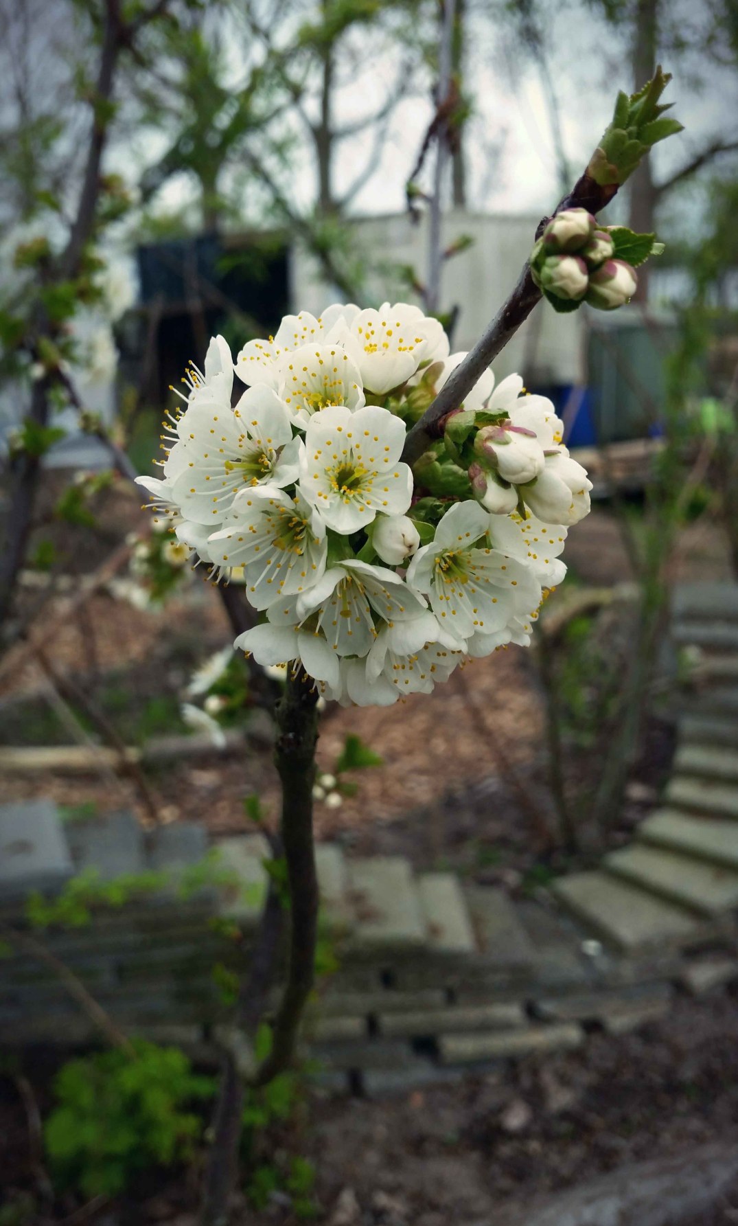 20160422_190600-blog