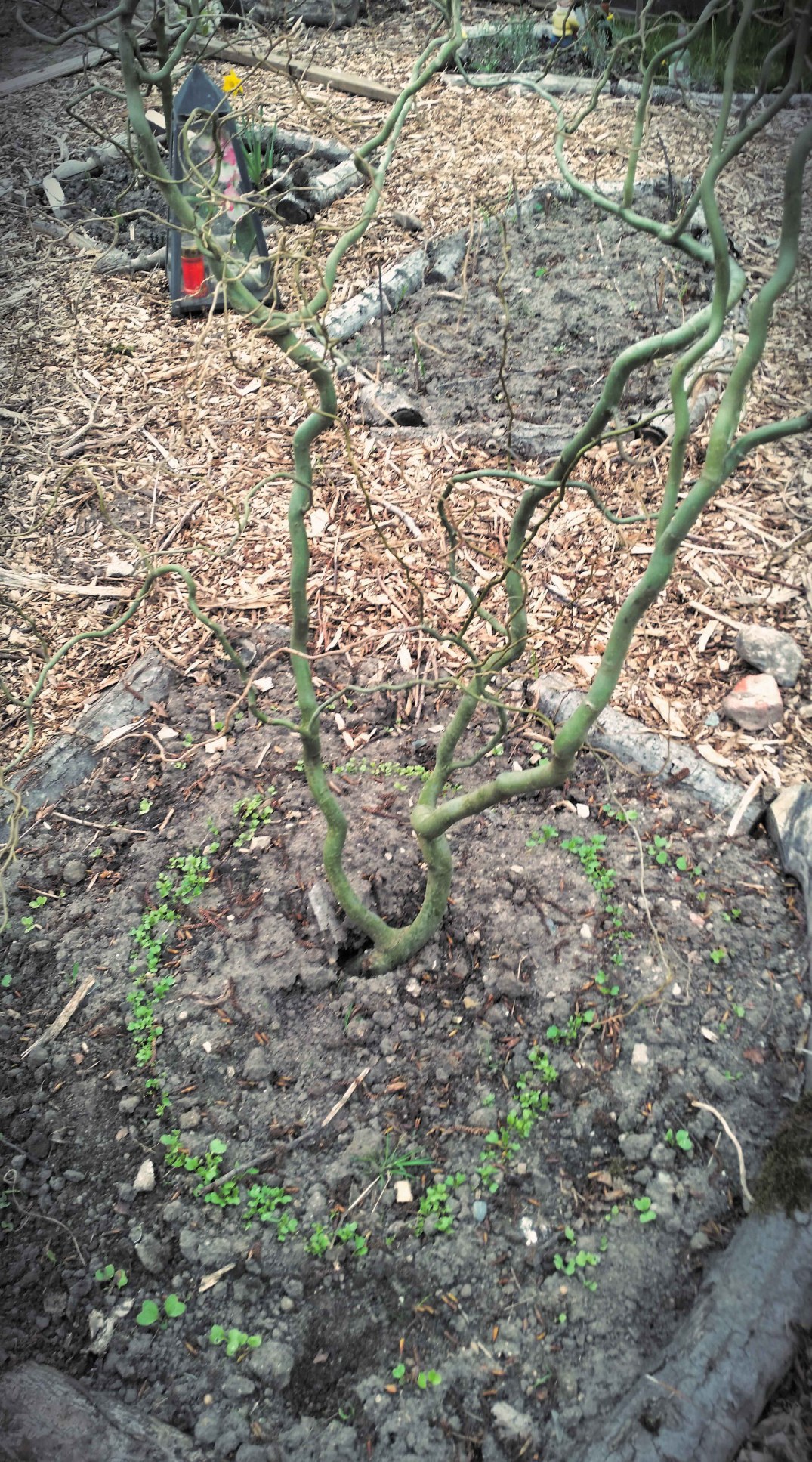 20160422_190623-blog