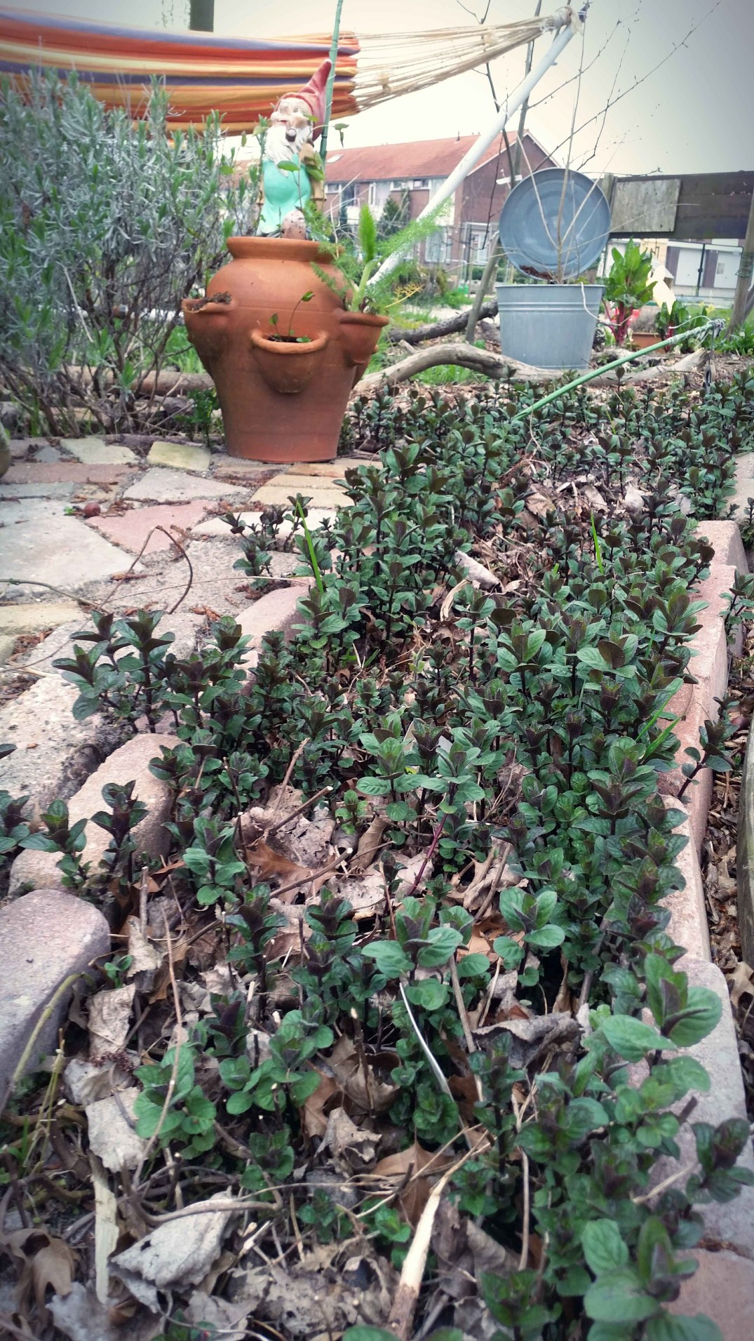 20160422_190927-blog