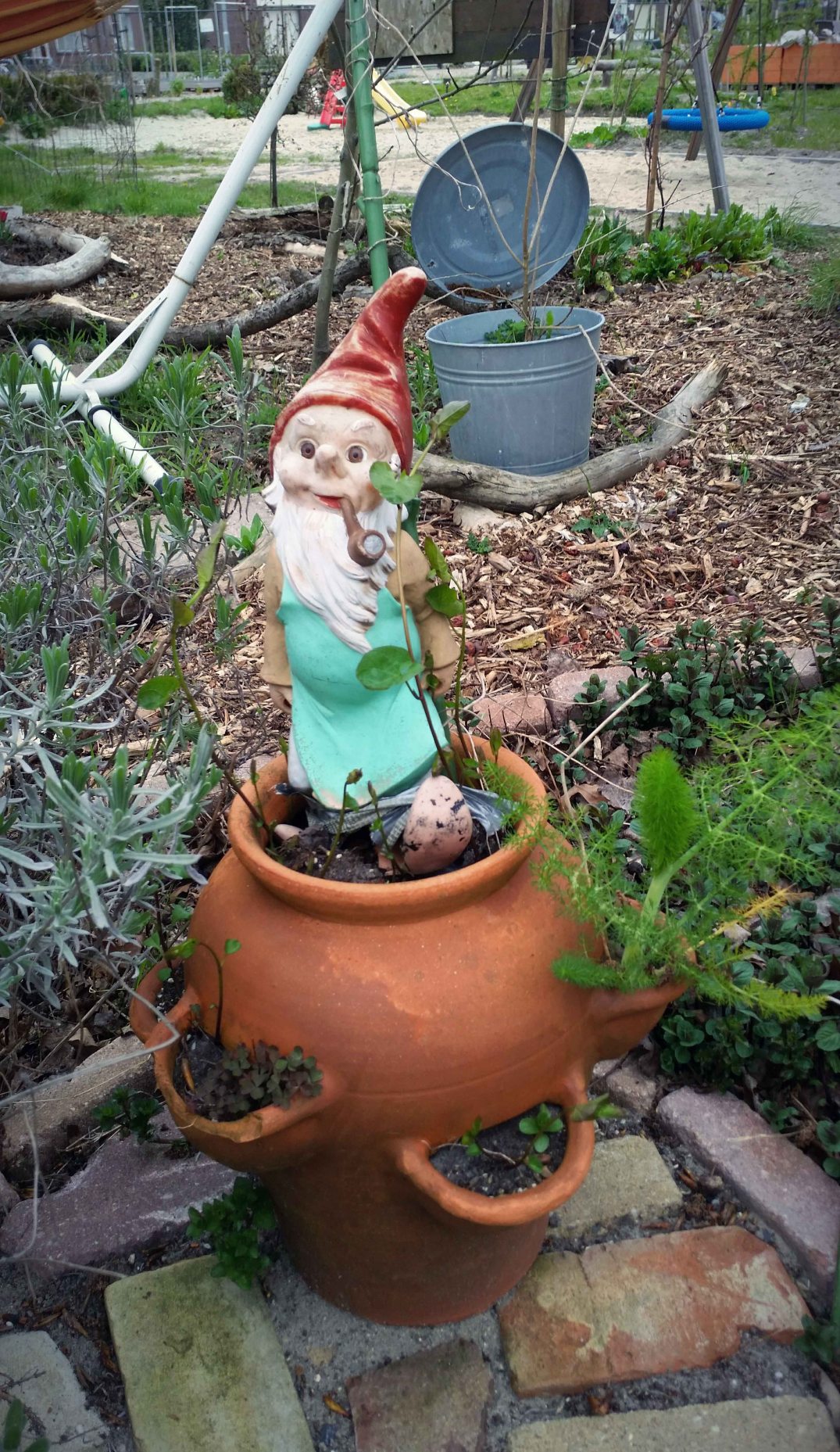 20160422_190954-blog