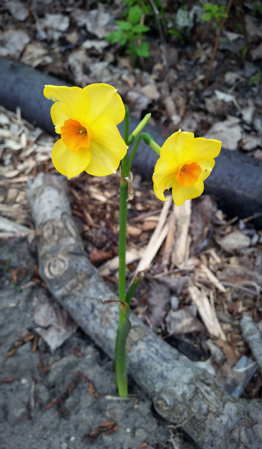 20160422_191110-blog