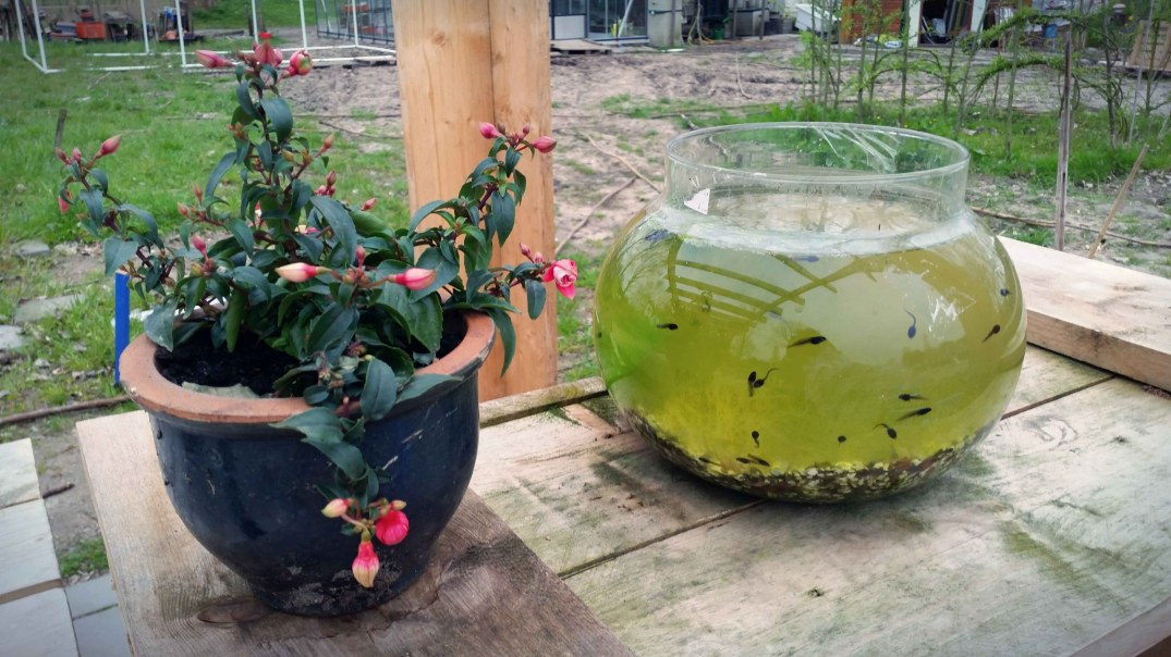 20160422_191813-blog