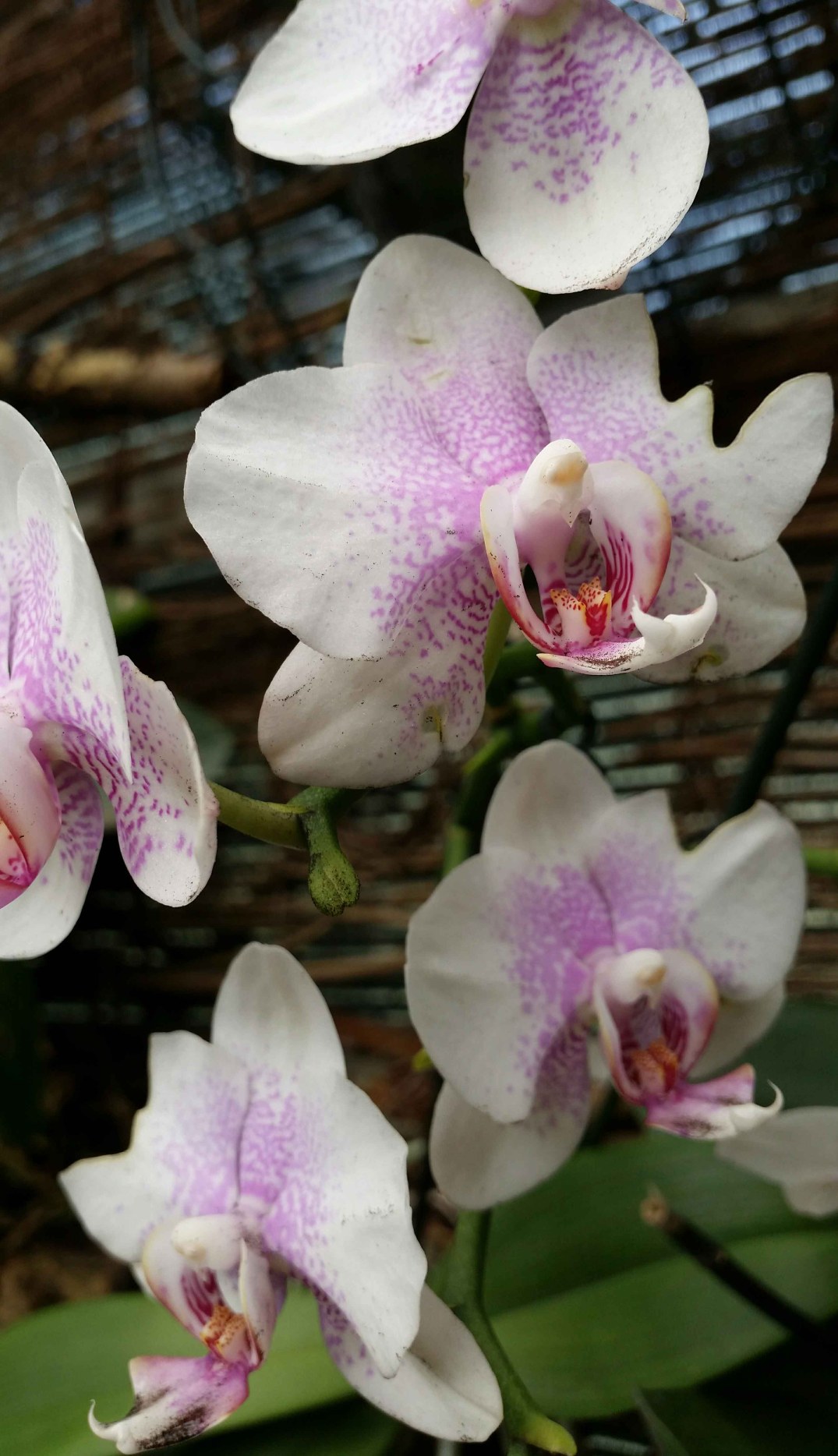 20160423_155428-blog