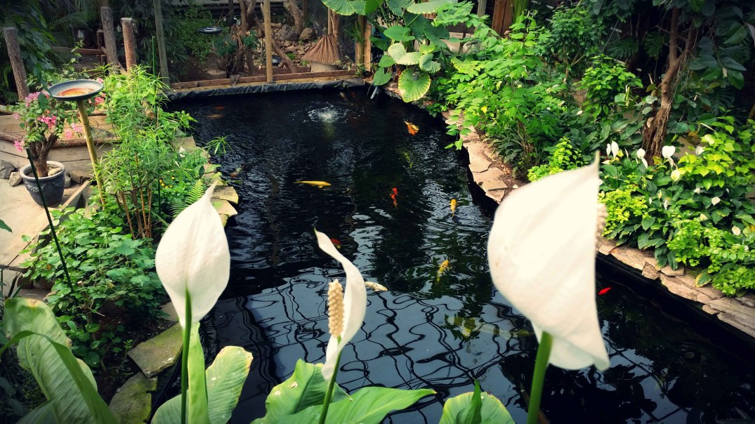 20160423_155556-blog