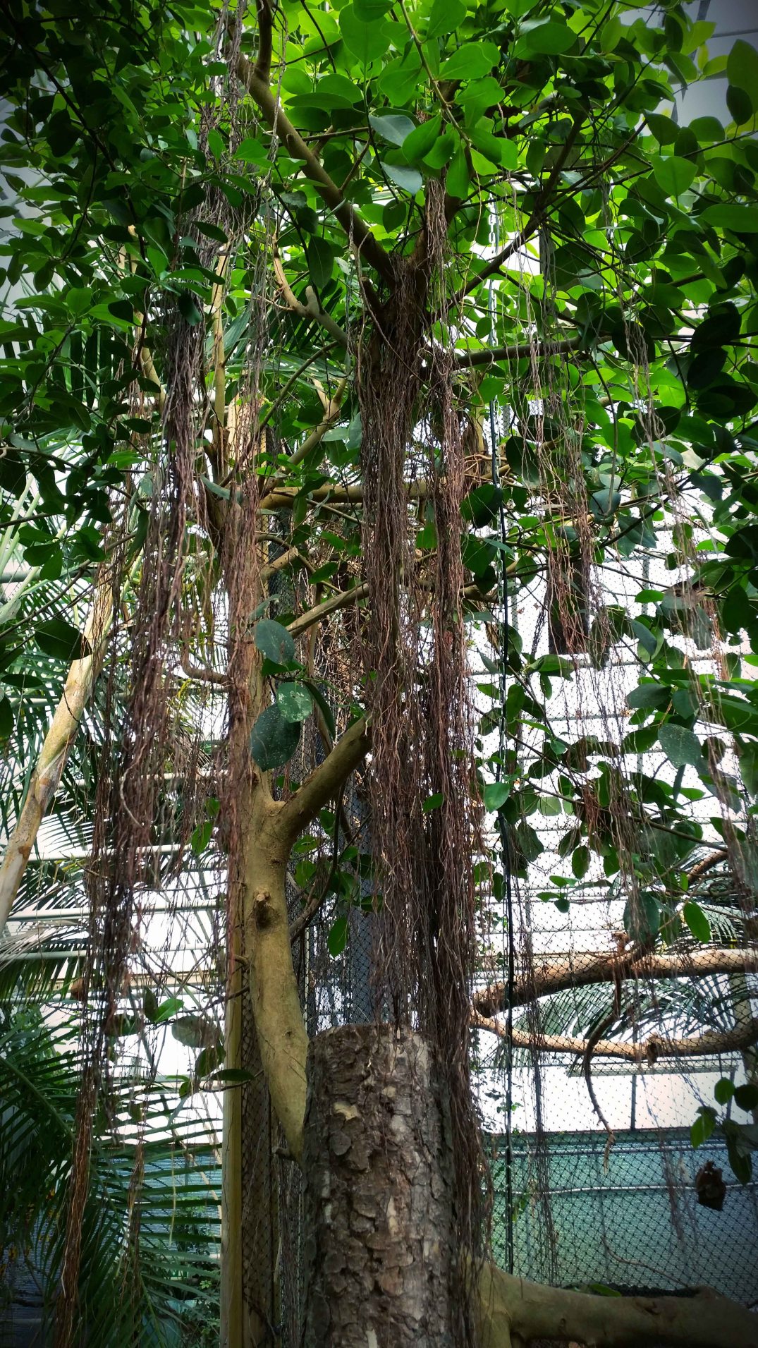 20160423_155927-blog