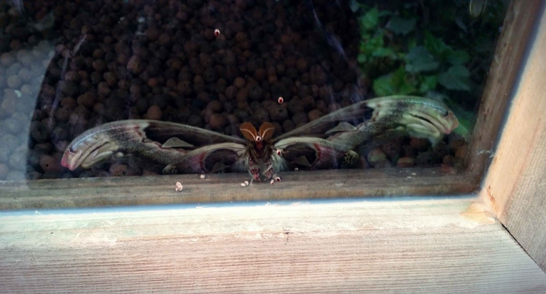 20160423_160054-blog