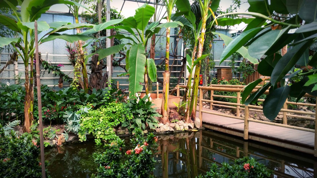 20160423_160120-blog