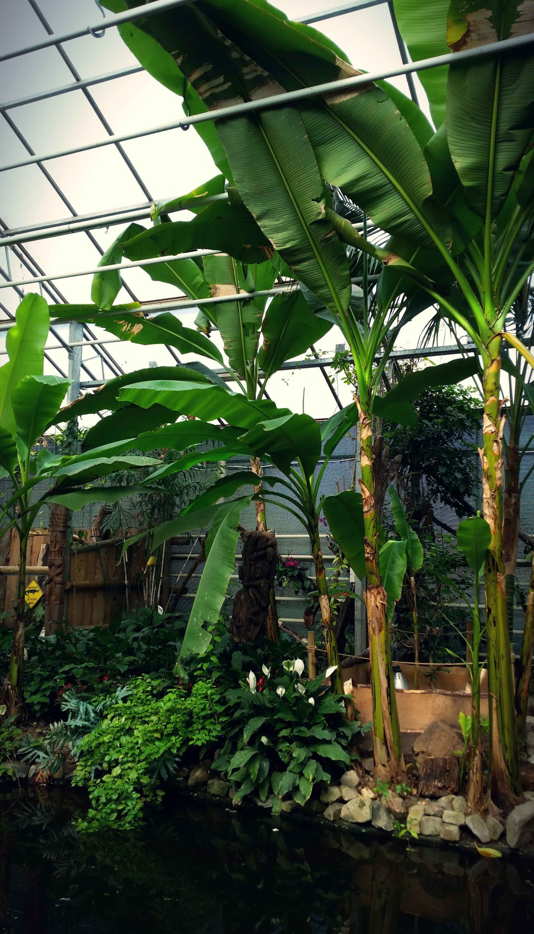 20160423_160249_20160423221855297-blog