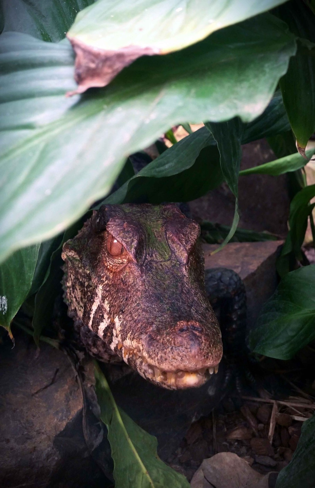 20160423_160433-blog