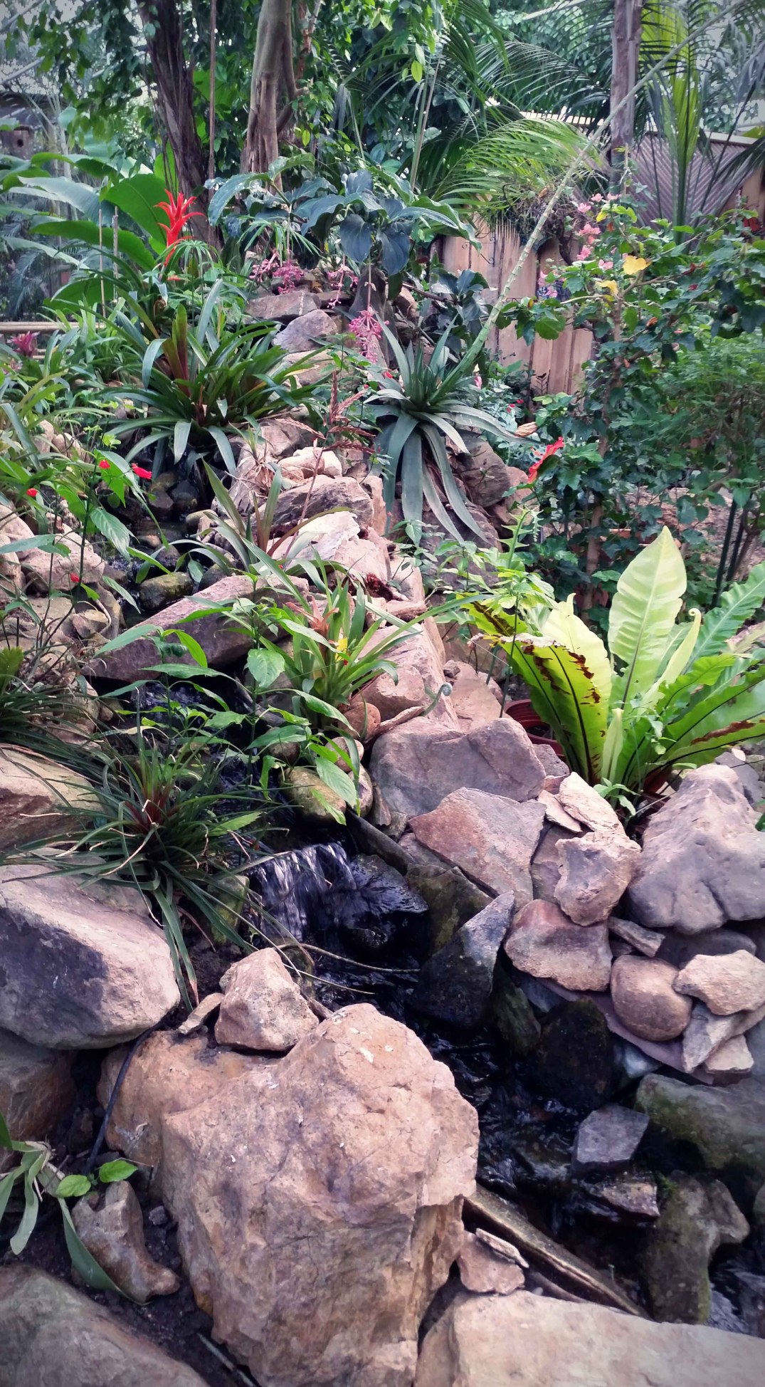 20160423_160710-blog