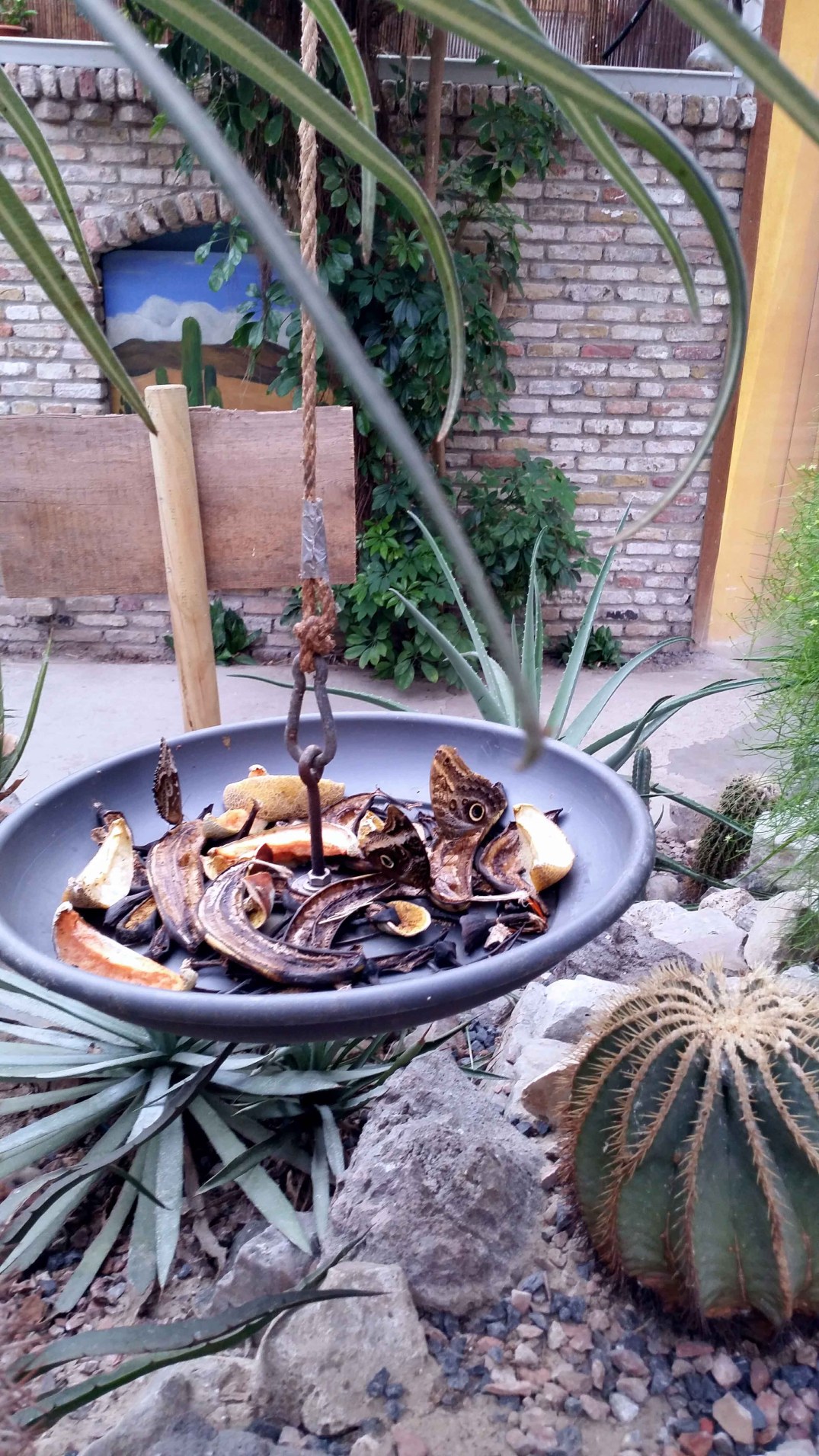 20160423_161208-blog