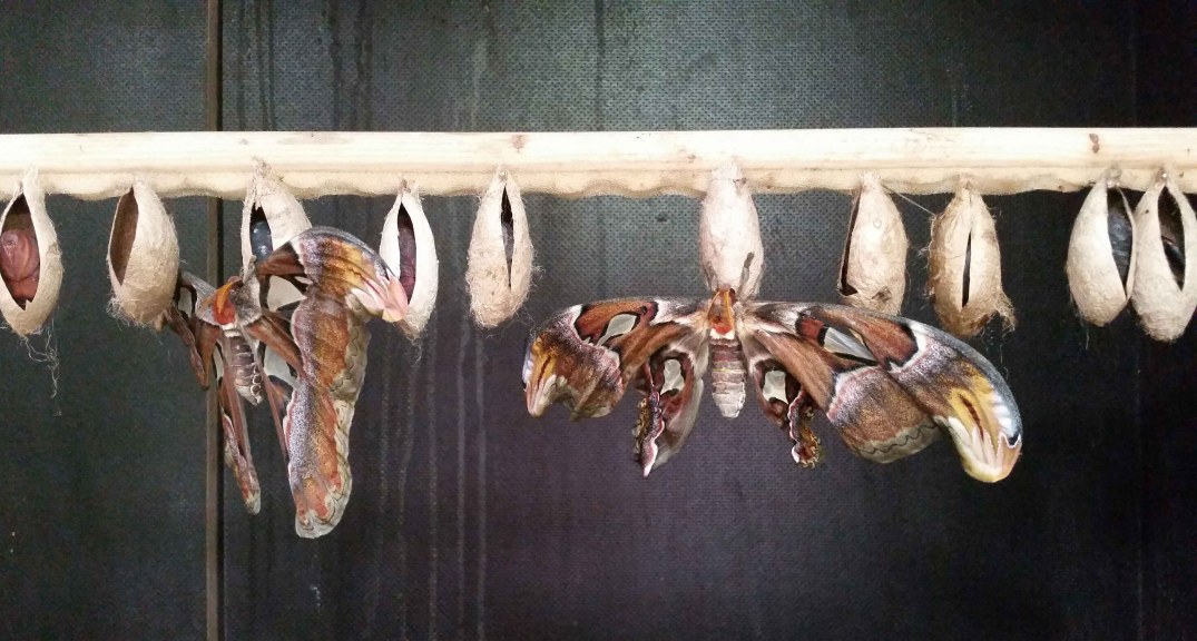 20160423_161741-blog