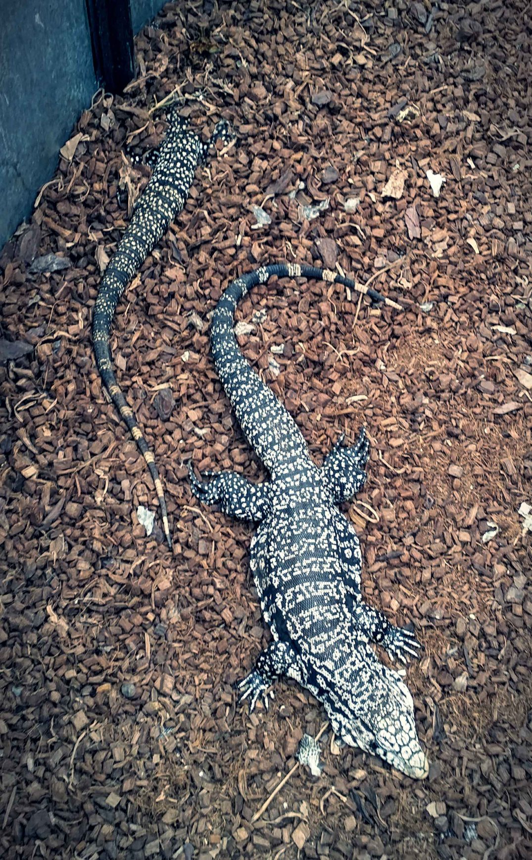 20160423_162237_20160423214500727-blog