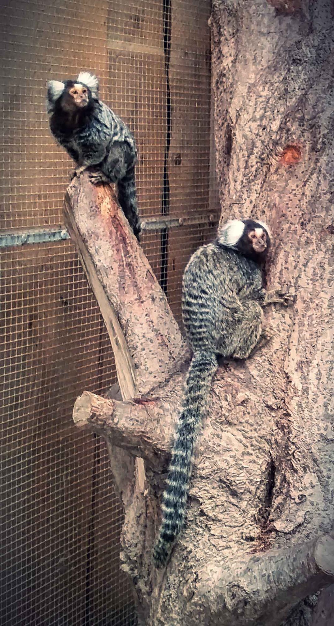 20160423_162551_20160423213953713-blog