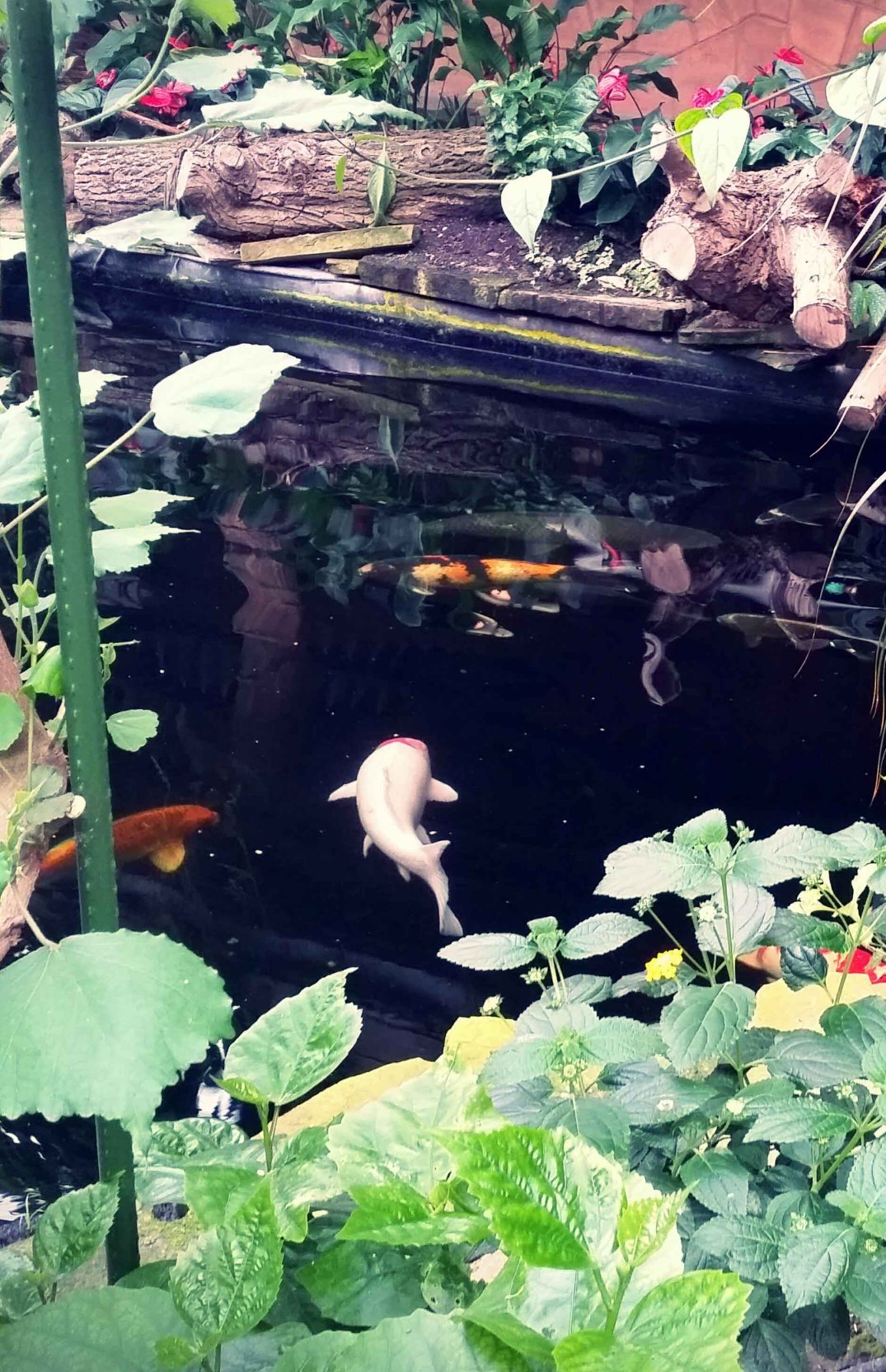 20160423_165910-blog