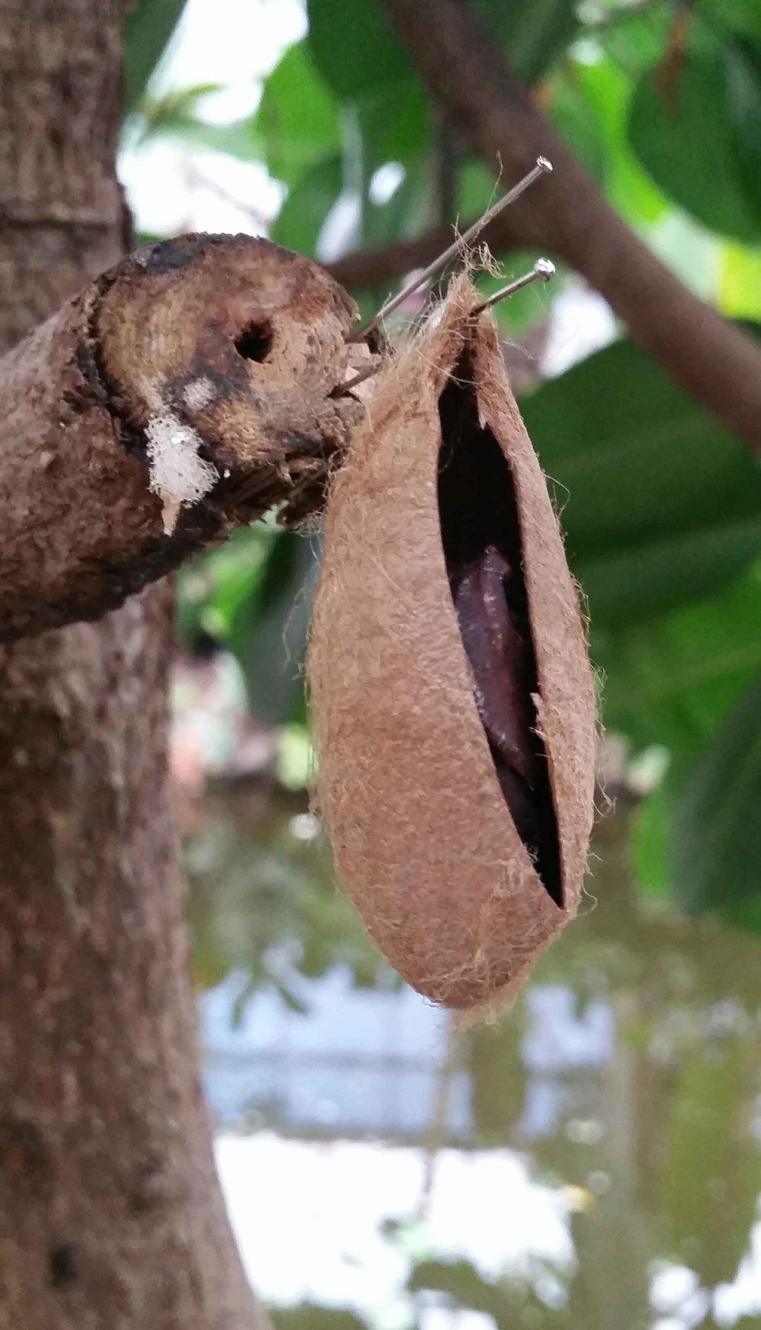 20160423_170017-blog