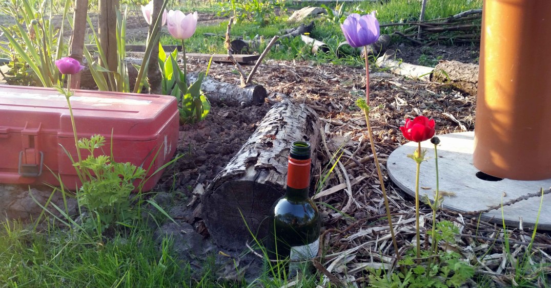 20160508_202441-blog