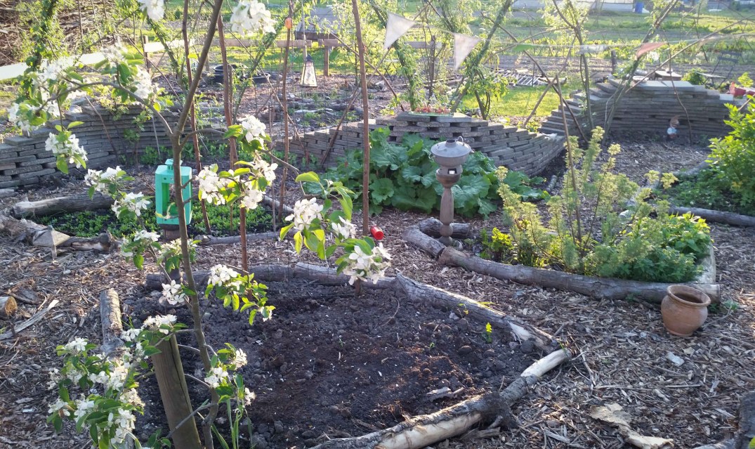 20160508_202738-blog