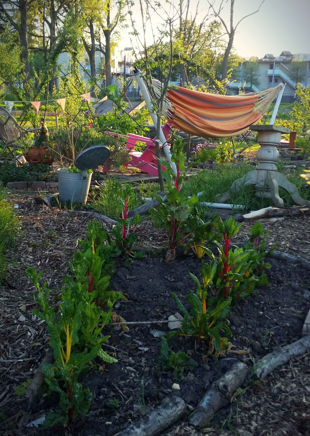 20160508_202817-blog