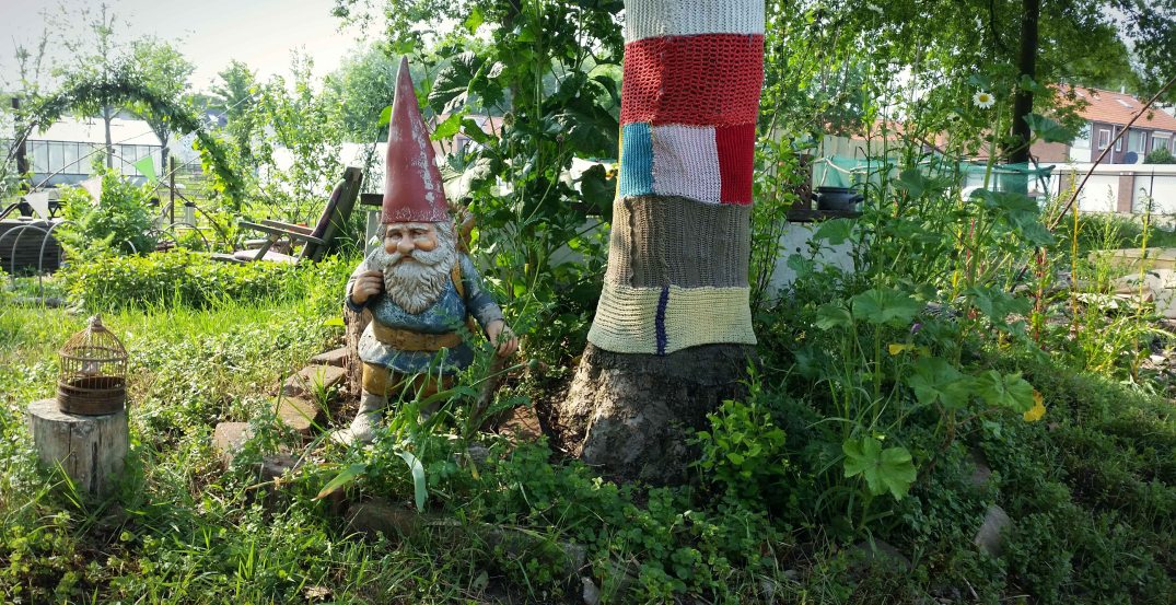 20160528_170840-blog