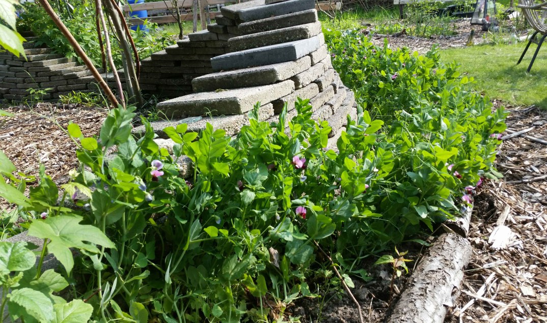 20160528_171041-blog