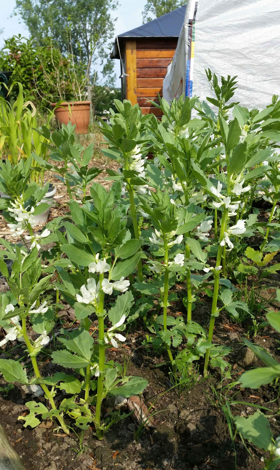 20160528_171120-blog