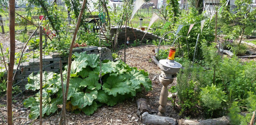 20160528_171129-blog