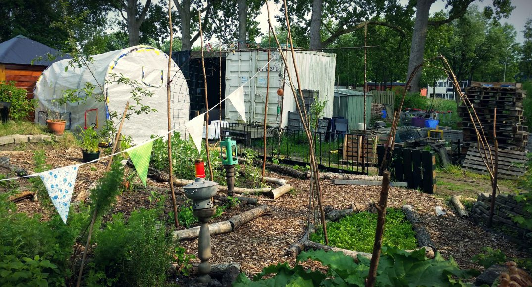 20160528_171311-blog