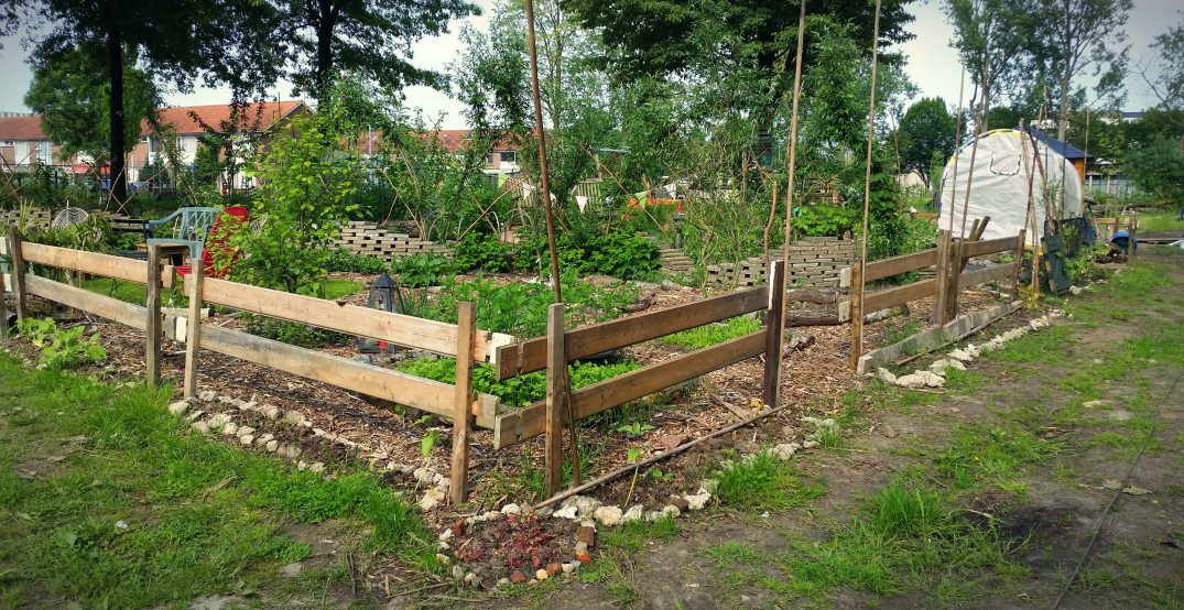 20160528_171943.blog