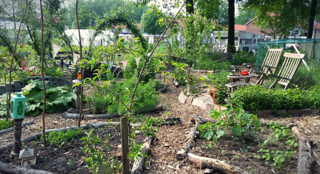 20160528_172157.blog