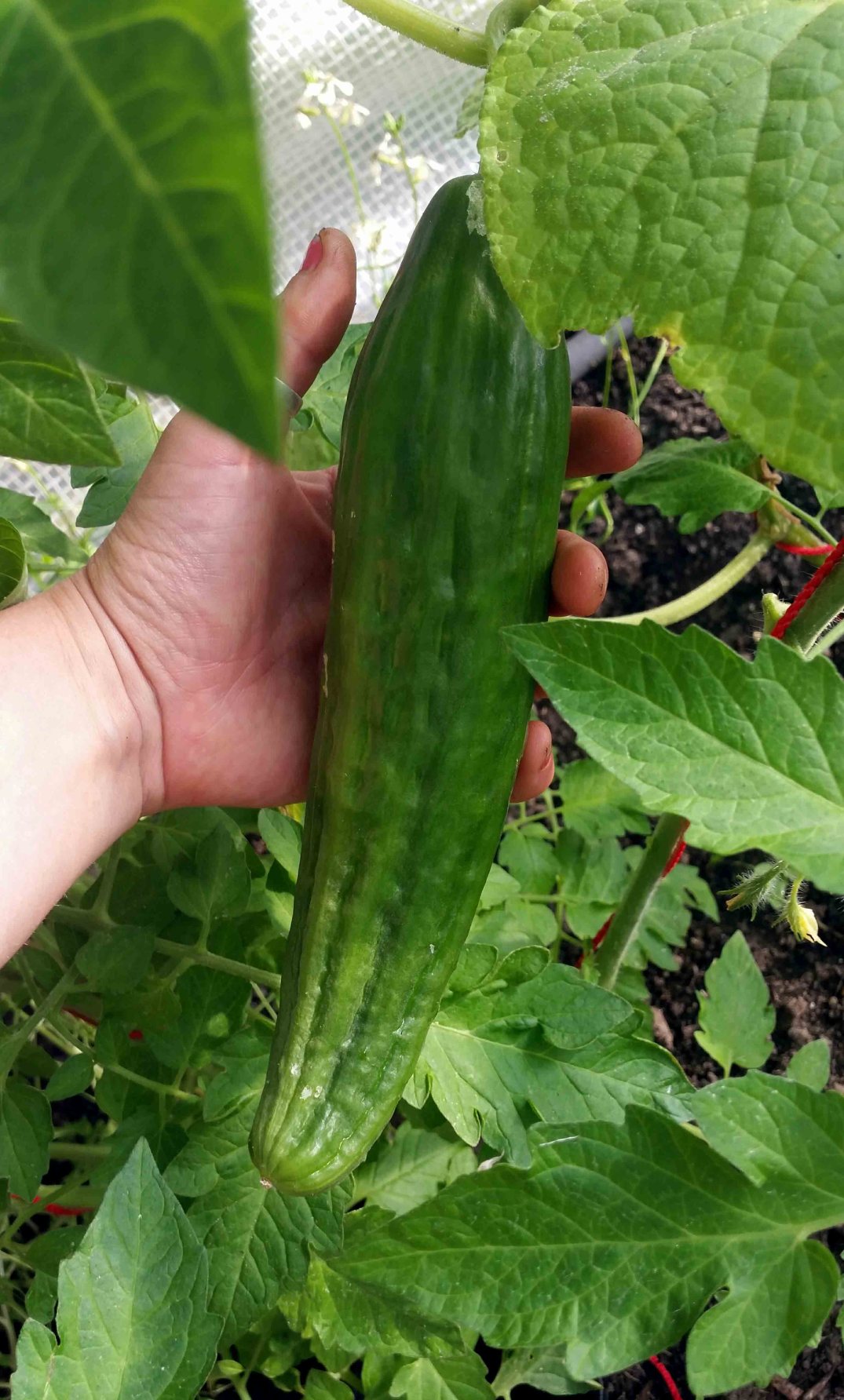 20160622_193026-blog