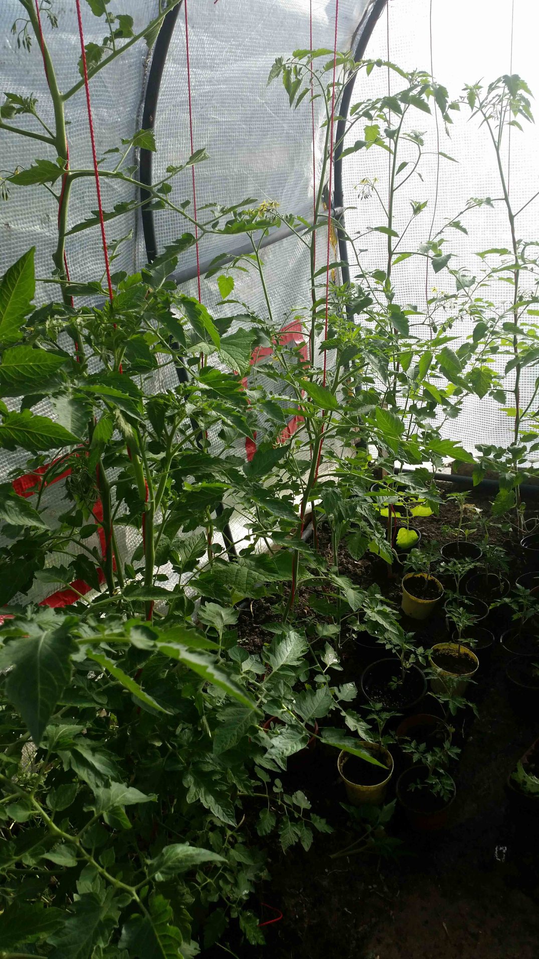 20160622_193040-blog