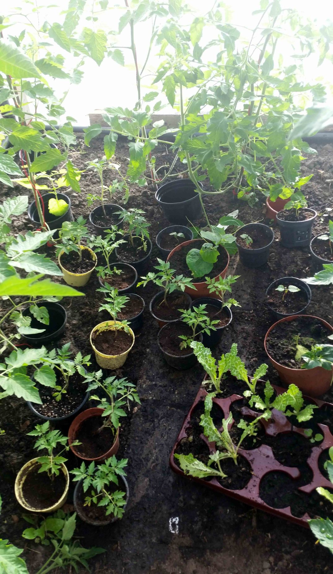 20160622_193052-blog