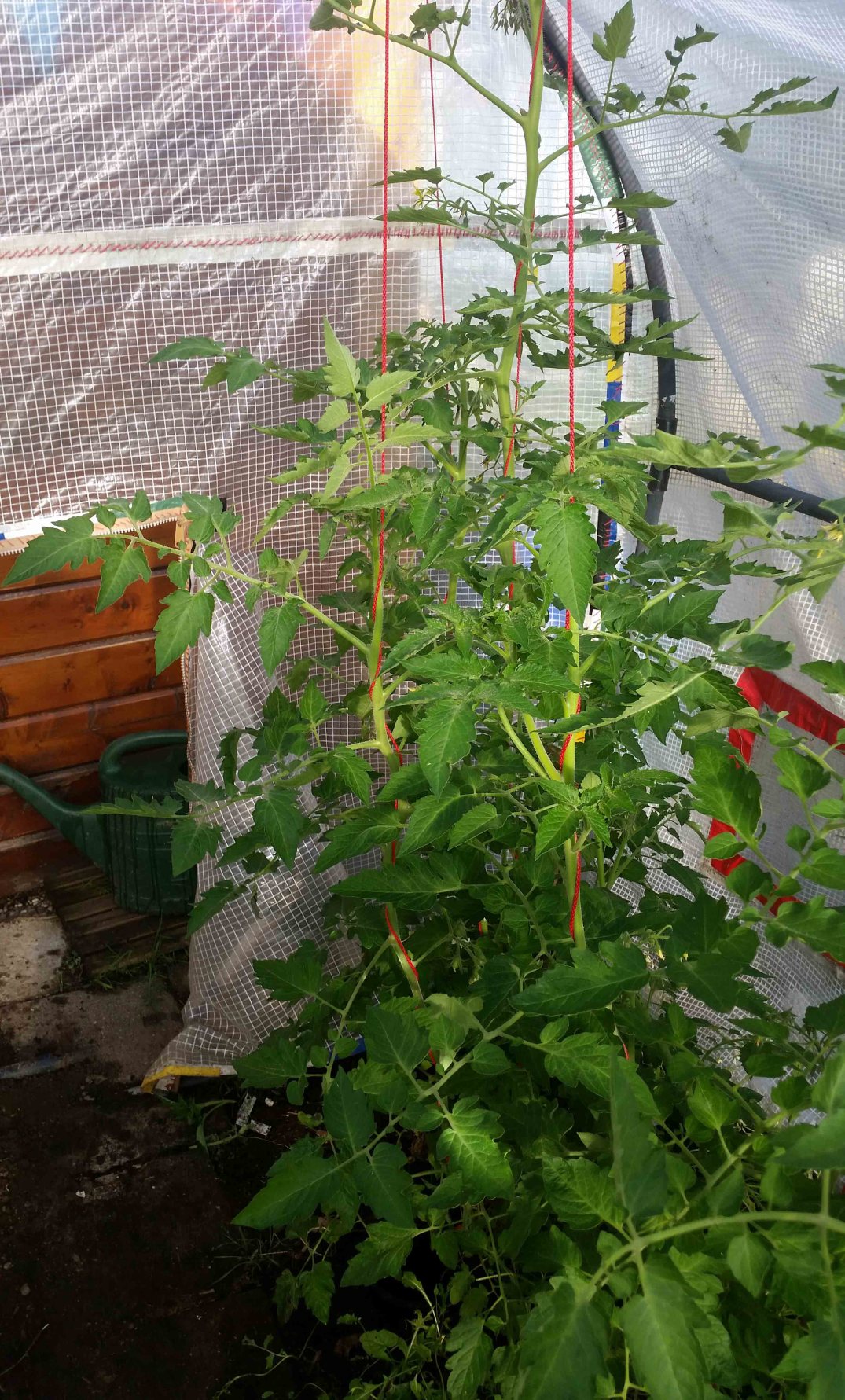 20160622_193110-blog