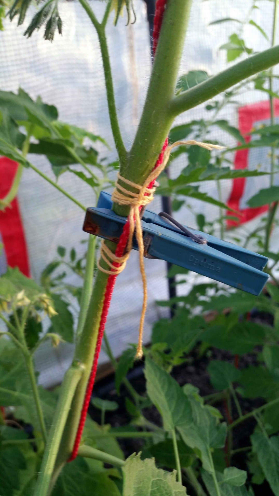 20160624_211102-blog