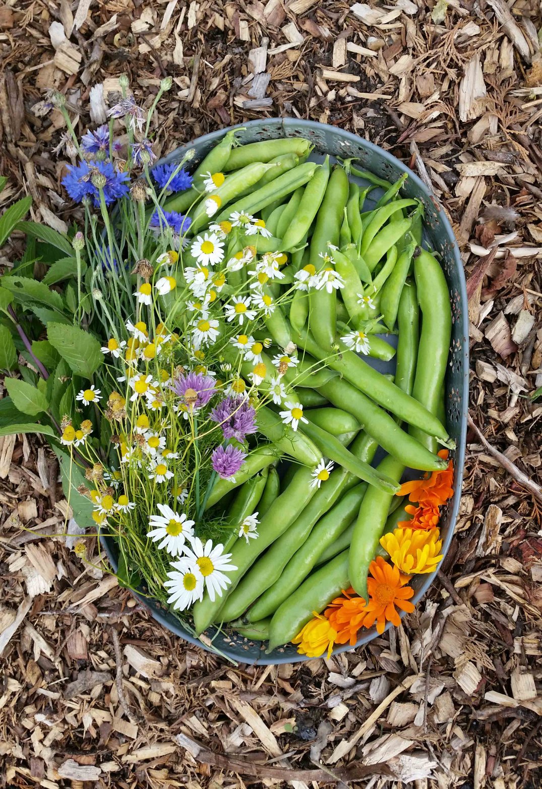 20160628_180535-blog