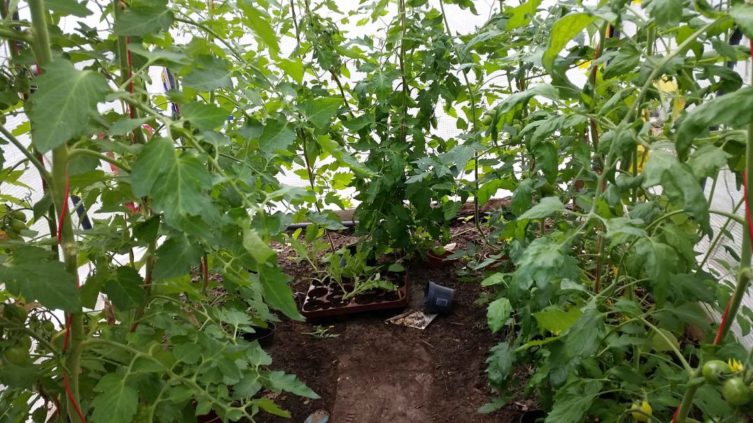 20160717_154815-blog