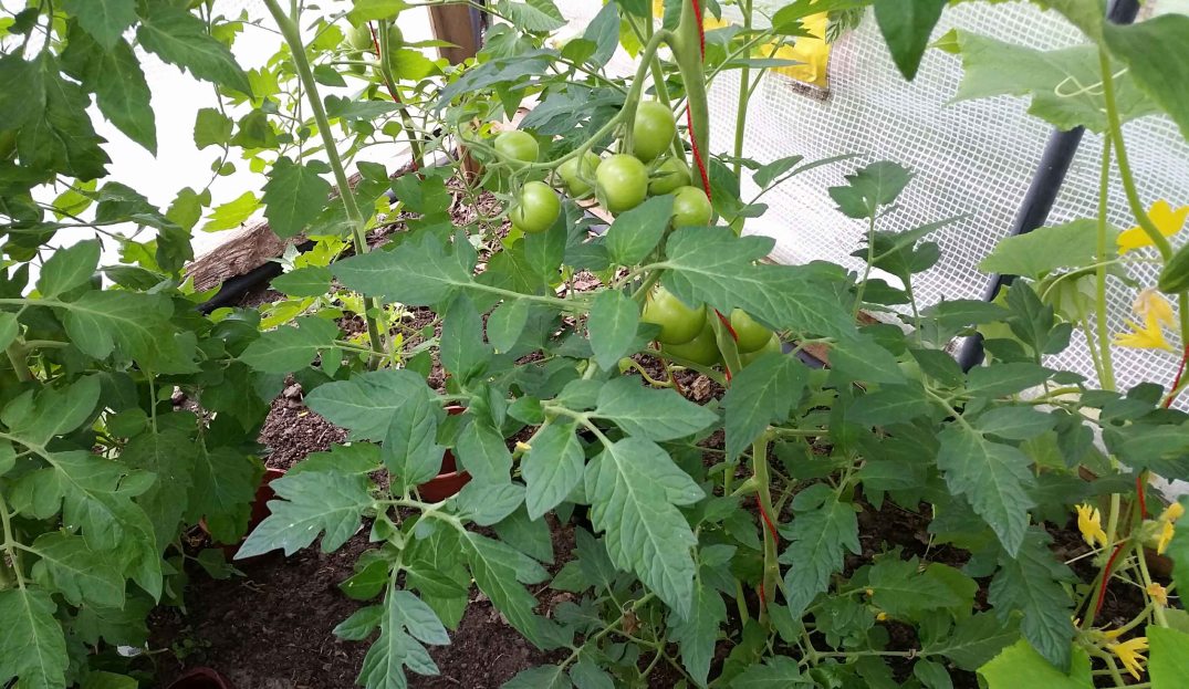 20160717_154842-blog