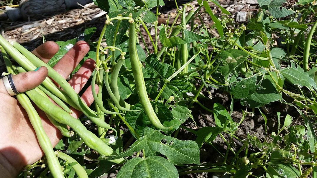 20160717_175629-blog