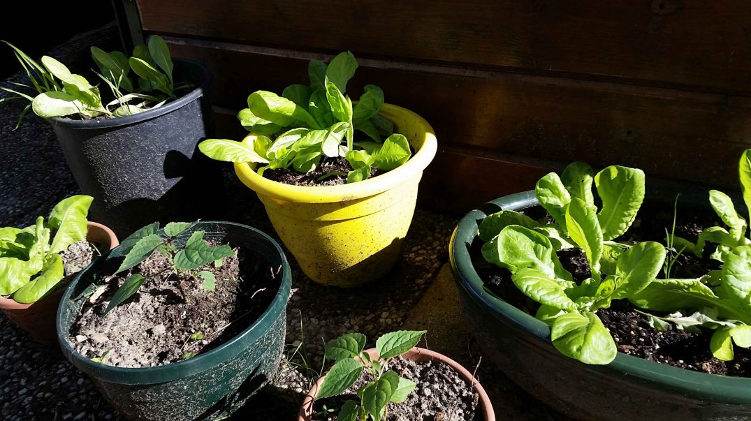 20160717_180245-blog