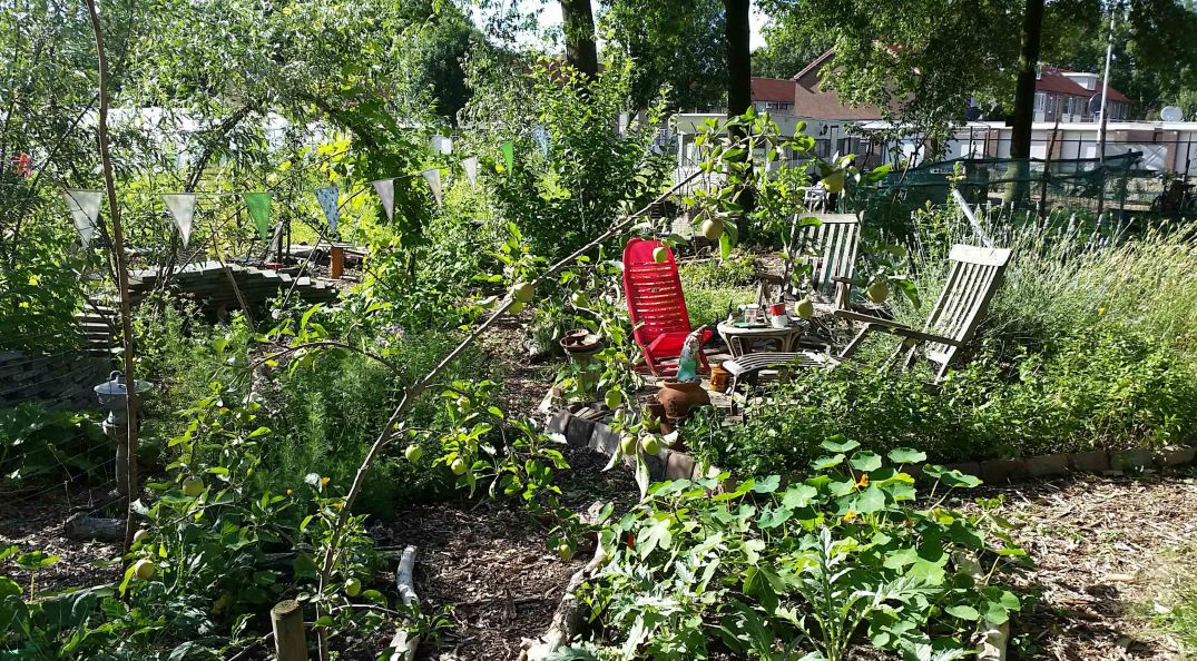 20160717_180423-blog